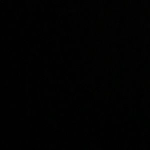 Meet your Posher, Evie